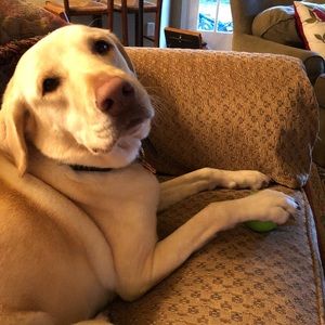 Meet your Posher, Jennifer